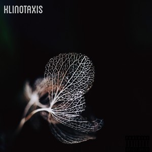 Klinotaxis EP (Explicit)