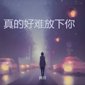 真的好难放下你 (伴奏)