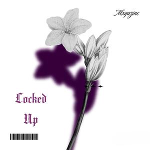 Locked Up (feat. Break) (Explicit)