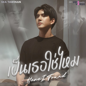 เป็นเธอใช่ไหม (Have I Found) - Single