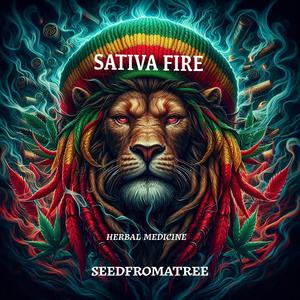 Herbal Medicine (feat. Seedfromatree)