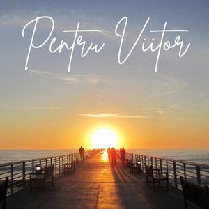 Pentru viitor (feat. Implikat & Xelys)