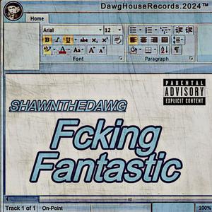 Fcking Fantastic (Explicit)