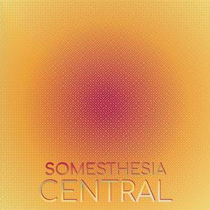 Somesthesia Central