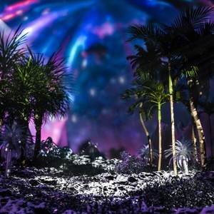 FLACCO ANGELO - Чувства