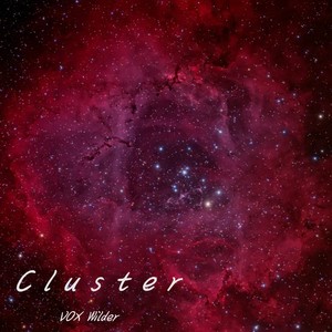 Cluster