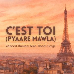 C'est Toi (Pyaare Mawla) (feat. Roohi Devje)