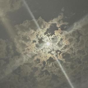 another life (Explicit)