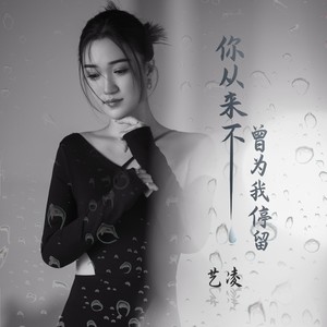 你从来不曾为我停留