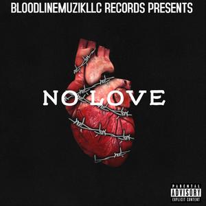 NO LOVE (Explicit)