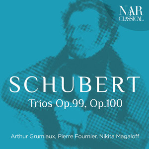 Trio in B-Flat Major, D. 898 - II. Andante con moto