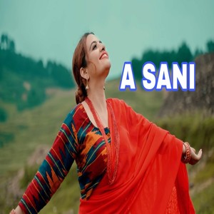 A SANI