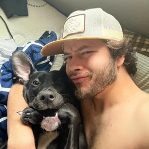 Lots of Wagon Wheels