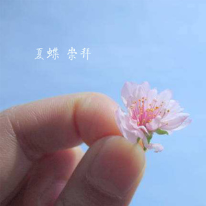夏蝶 Qq音乐 千万正版音乐海量无损曲库新歌热歌天天畅听的高品质音乐平台 夏蝶 Qq音乐 千万正版音乐海量无损曲库新歌热歌天天畅听的高品质音乐平台