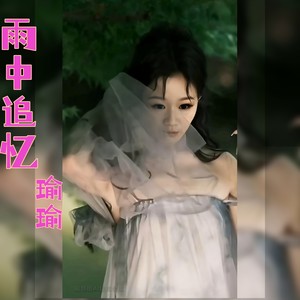 雨中追忆封面