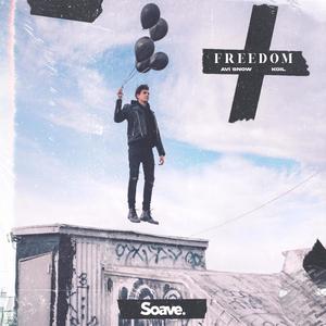 Avi Snow - Freedom