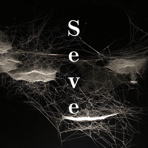 Seve（DJ完整版）