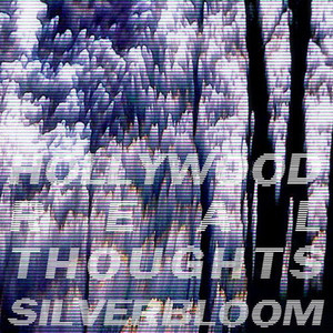 Silverbloom