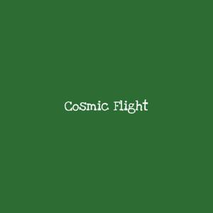 Cosmic Flight