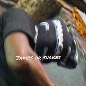 Jakes or Snakes