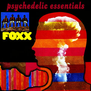 psychedelic essentials