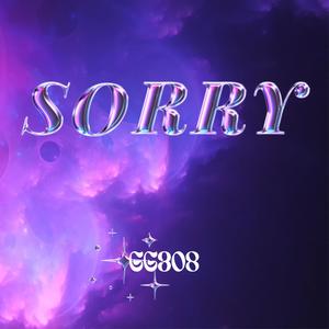 Sorry (Explicit)