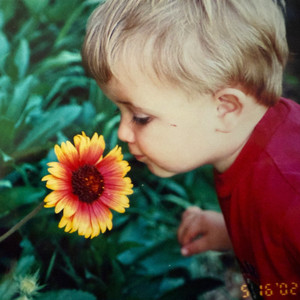 Cam Harris - evergreen