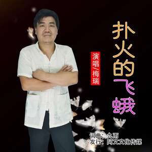 扑火的飞蛾 (伴奏) - 梅瑞封面