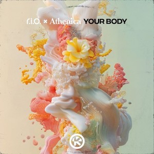 Your Body