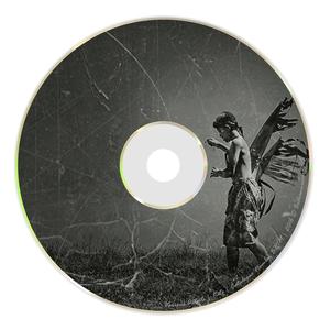 Into The Web (Original Mix)