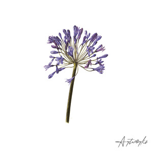 The Way (Sonic Future Remix)