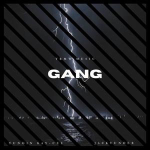 Gang(feat. JackyUnder) (Explicit)