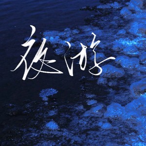 夜游