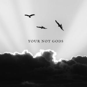 YOUR NOT GODS