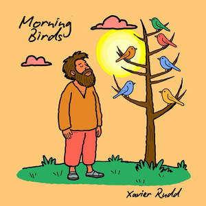 Morning Birds