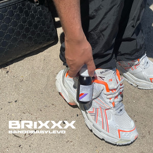 Brixxx