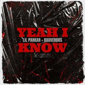 YEAH I KNOW (feat. Rxoverdos) [Explicit]