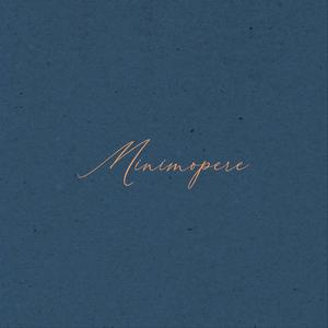 Compozitie cu Vioara