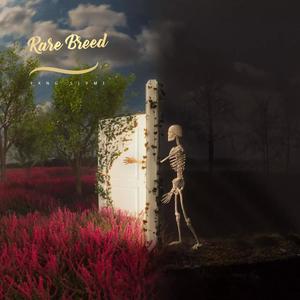 Wasted (feat. Izson) (Explicit)