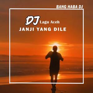 DJ Janji Yang Dile (Remix Aceh)