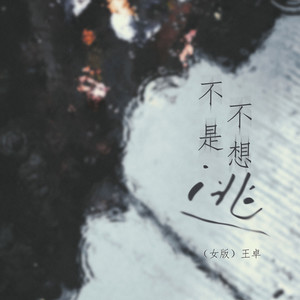 不是不想逃 (女版)封面