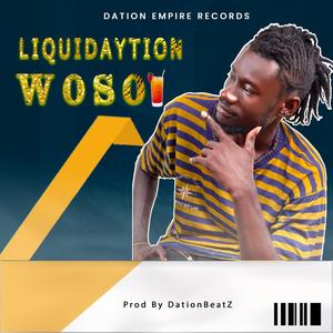 Woso (feat. Liquidaytion)