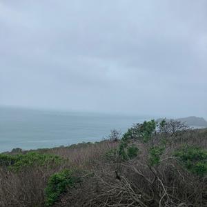 No Control (Explicit)