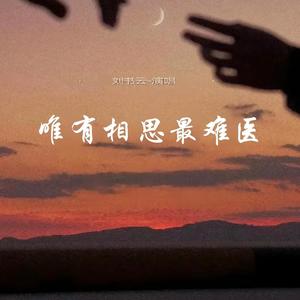 刘书云 - 唯有相思最难医