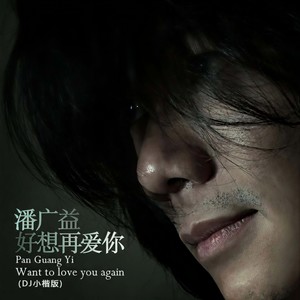 好想再爱你 (DJ小楷 剪辑版)