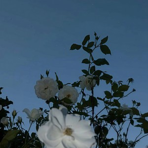 在你身边就失去超能力