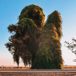 Ainda Há Amor (Raya)