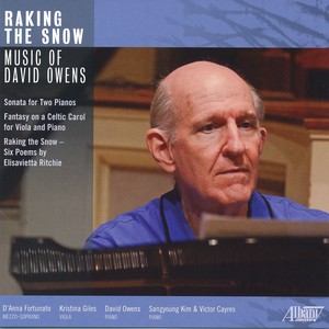 OWENS, D.: Raking the Snow / Sonata for 2 Pianos / Fantasy on a Celtic Carol (Owens Sangyoung Kim, G