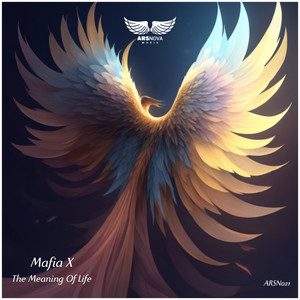 The Meaning Of Life (Original Mix)