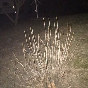 only getting better (prod. Vessels)